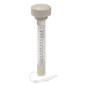 Zwembad thermometer