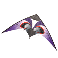 Lenkdrachen