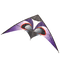 Lenkdrachen