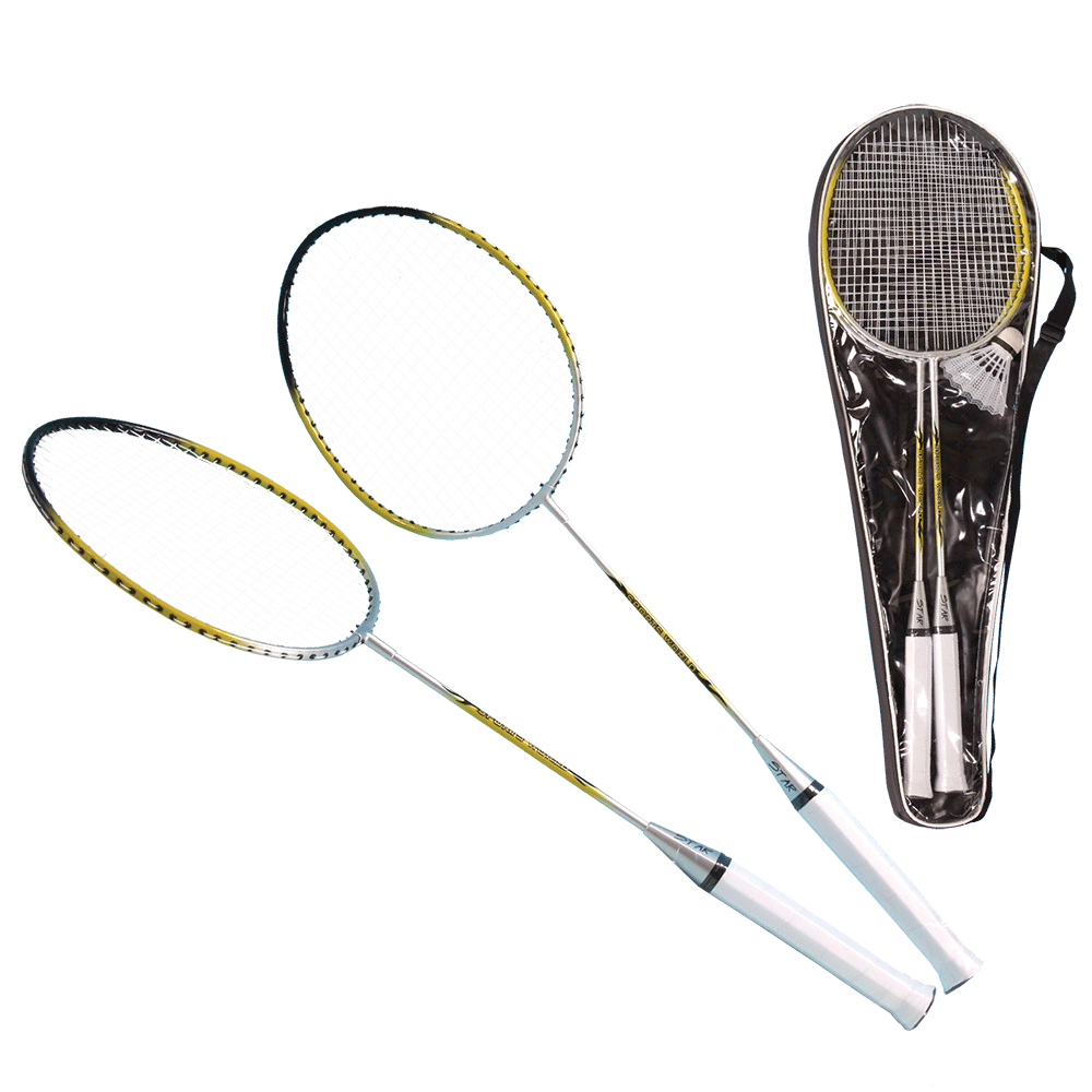Badminton-Set Pro
