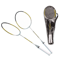 Badminton-Set Pro