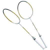 Badminton Set Pro
