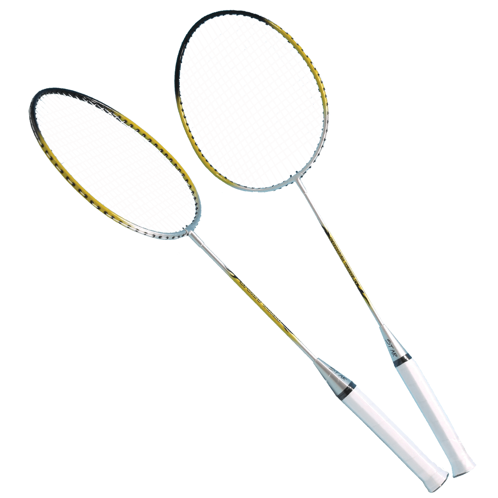 Badminton Set Pro