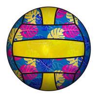 Volleyball Vittali Pacific