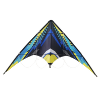 Lenkdrachen Sky Runner 160 cm