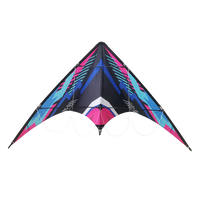 Lenkdrachen Sky Runner 160 cm