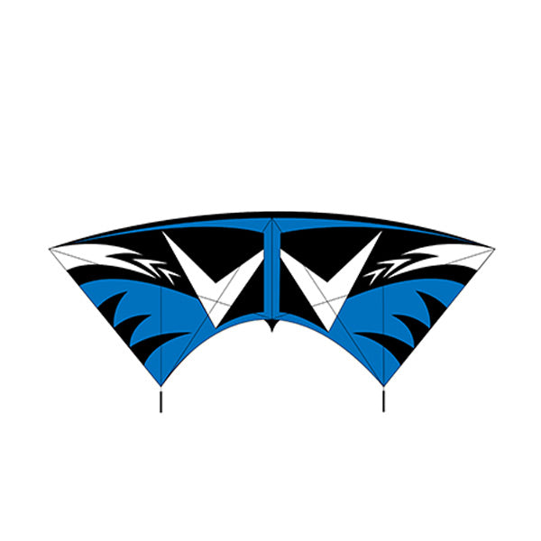 Lenkdrachen Profi Kite 240 cm