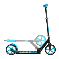 Stufenkufen Control 200